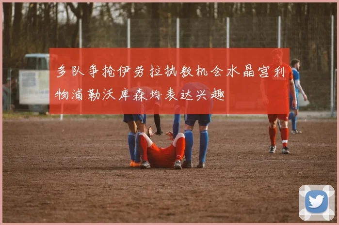 多队争抢伊劳拉执教机会水晶宫利物浦勒沃库森均表达兴趣